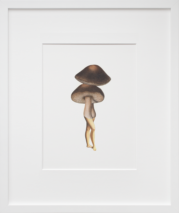 Lady-shroom