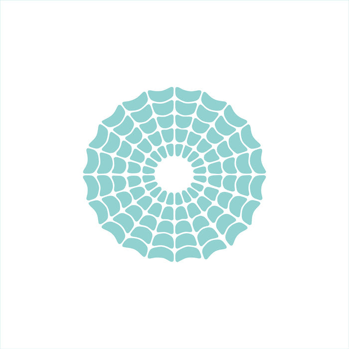 Large Spider Web Stencil