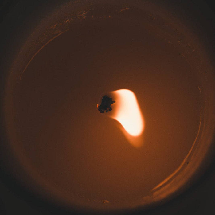 Late Checkout Candle - Lone Fox