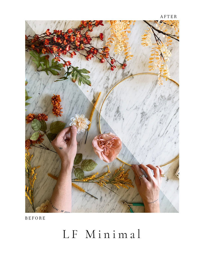 "Lone Fox" Photo Preset Pack - Lone Fox