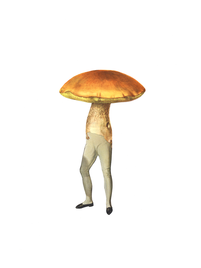 Man-shroom