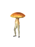 Man-shroom