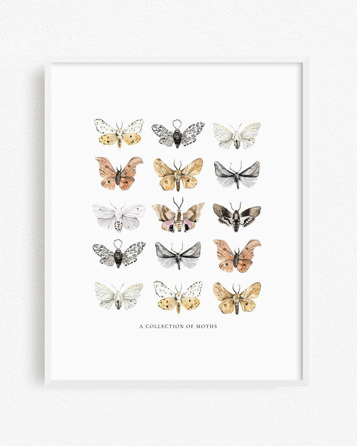 Moths Art Print - Lone Fox