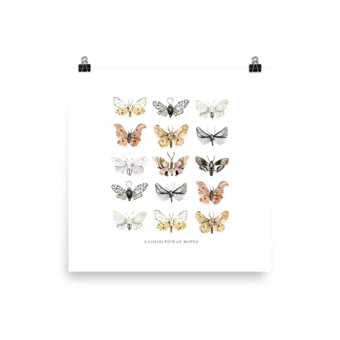 Moths Art Print - Lone Fox