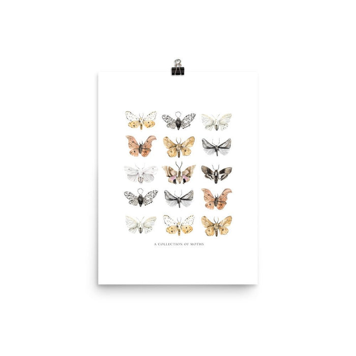 Moths Art Print - Lone Fox