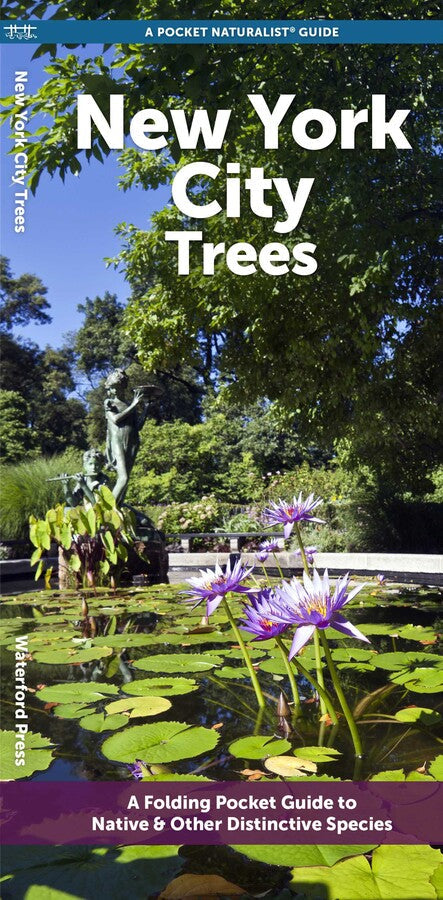 Folding pocket guide title: New York City Trees. The cover photograph depicts Central Park’s Conservatory Garden lily pool, water lilies in bloom up front, a statue rising quietly behind. The title appears at the top.