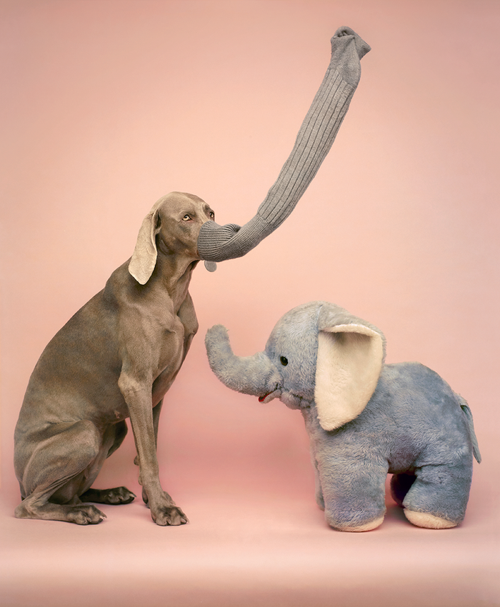 No Fun Sleeping Under A Picture Like This + Pink Elephants
