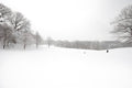 North of the Tennis House