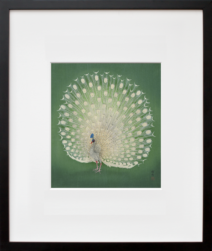 Peacock