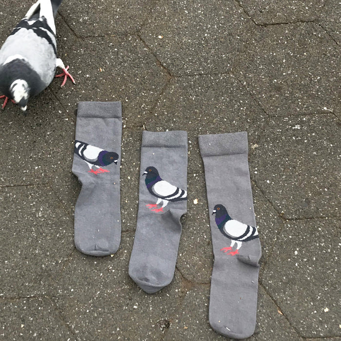 Three pairs of Pigeon socks are displayed on a grey, speckled sidewalk, with a real pigeon standing nearby, seemingly curious and looking at the socks beside it.