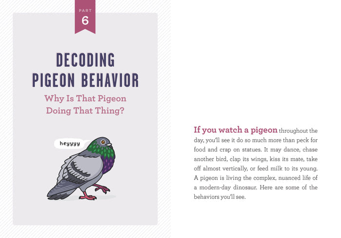 The page labeled “Part 6” from the book Decoding Pigeon Behavior shows an illustration of a gray pigeon with a speech bubble saying “heyyy.” To the right, the page presents a written explanation describing different aspects of pigeon behavior.