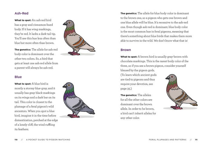 The page shows three pigeons, each displaying a different color type, along with notes describing their distinct markings and the genetic traits that produce them.