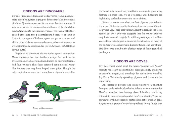 This page explores the evolution of pigeons and is divided into two sections titled “Pigeons Are Dinosaurs” and “Pigeons Are Doves.” At the bottom left, a graphic shows a gray pigeon next to a bold black equals sign, which leads to an image of a bright green dinosaur, visually linking pigeons to their ancient origins.