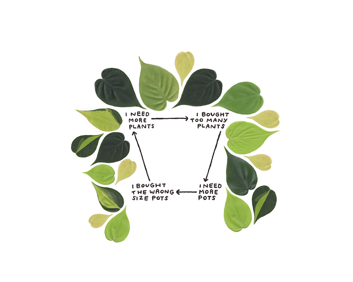 Plant Parenthood