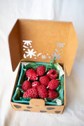 Raspberry Beeswax Birthday Candles : 10 - Lone Fox