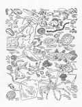 Sea Creatures at The American Museum of Natural History