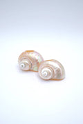 Seashell Napkin Ring - Lone Fox