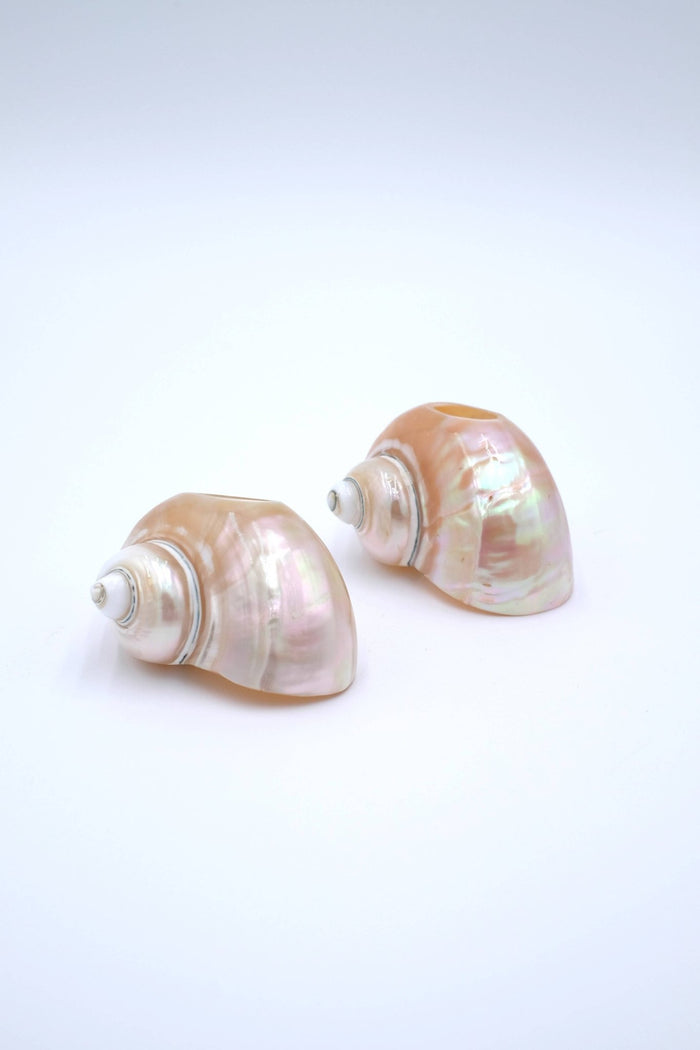 Seashell Napkin Ring - Lone Fox