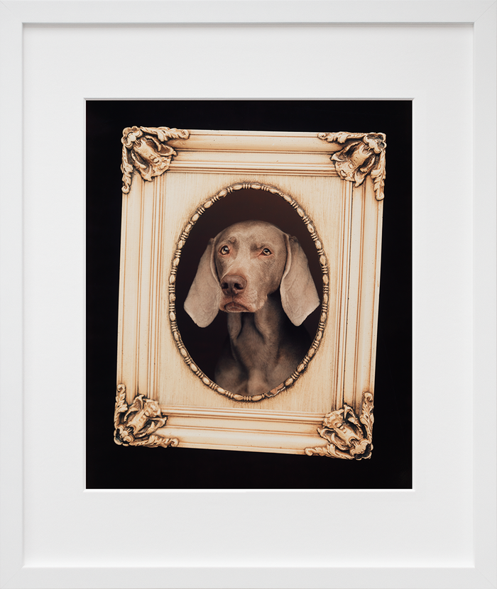 Self Portrait