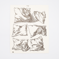 Six Studies of Pillows Letterpress by Albrecht Dürer