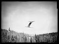 Ski Jumper