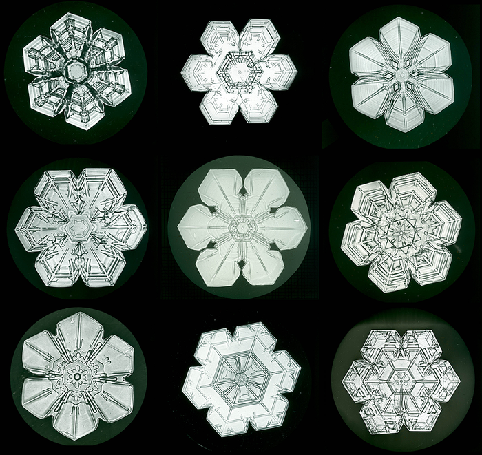 Snow Crystals