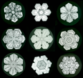 Snow Crystals