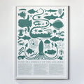 Some Sea Animals of the Atlantic Screenprint