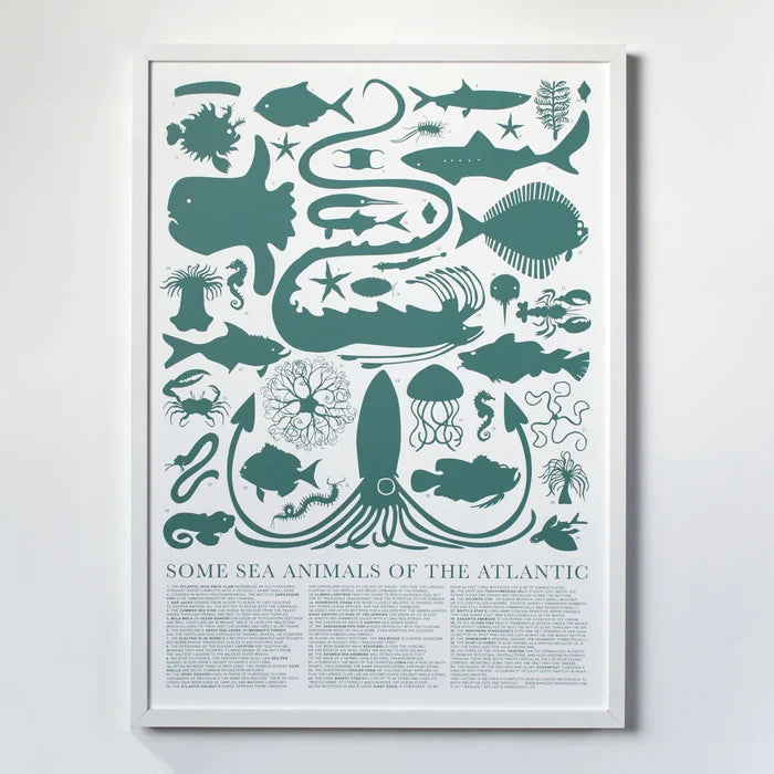 Some Sea Animals of the Atlantic Screenprint