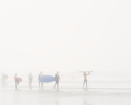 Surf School, Ocean Beach, San Francisco, CA
