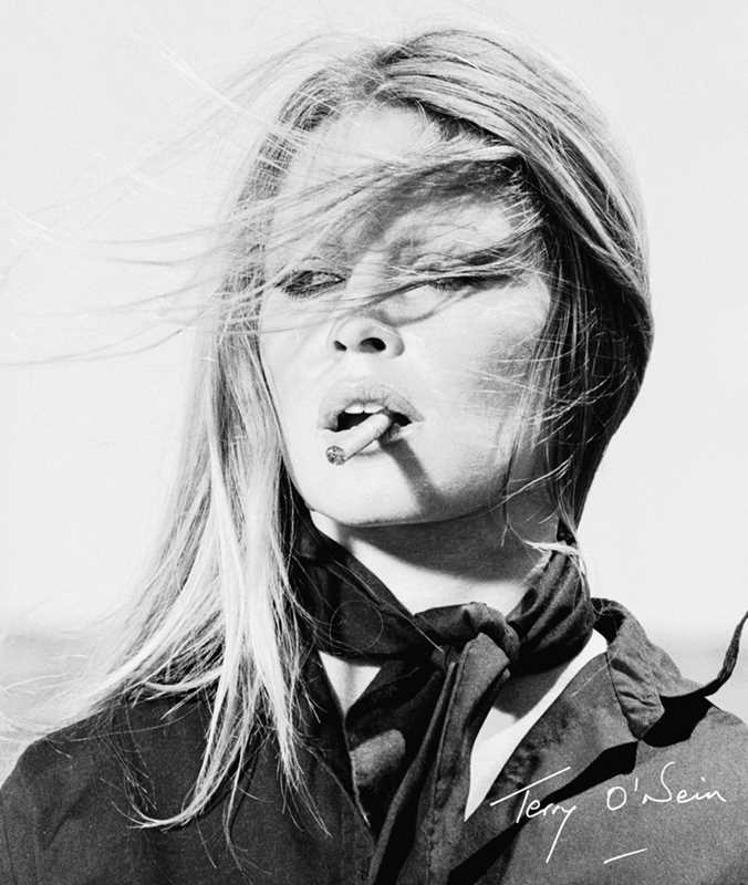 Terry O'Neill: Hardcover - Lone Fox