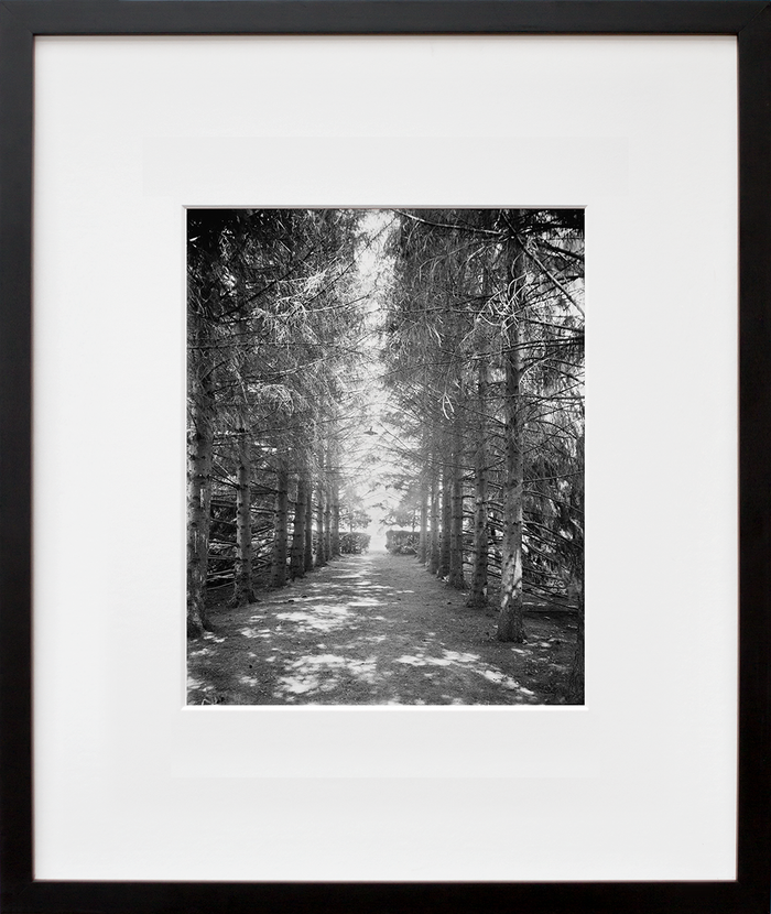 The Firs, under the firs, New Baltimore, Mich.