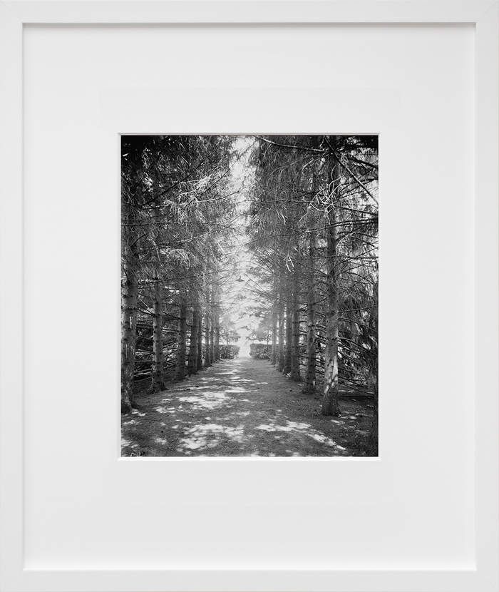 The Firs, under the firs, New Baltimore, Mich.