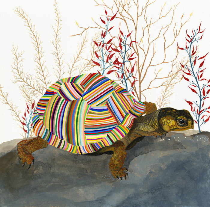 The Tortoise