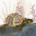 The Tortoise