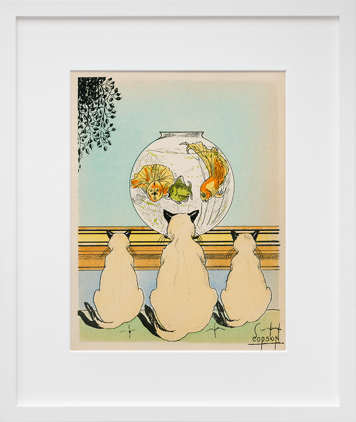 Three cats watching fish in an aquarium