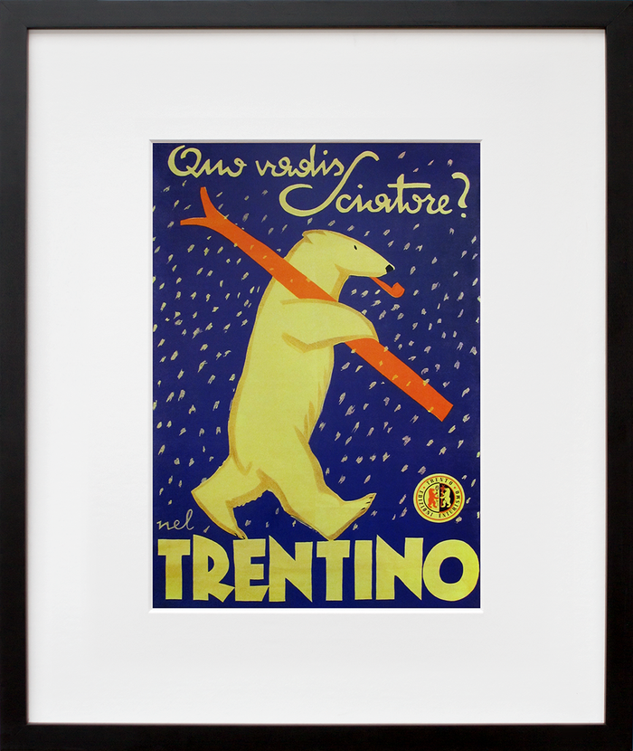 Trentino Ski Bear