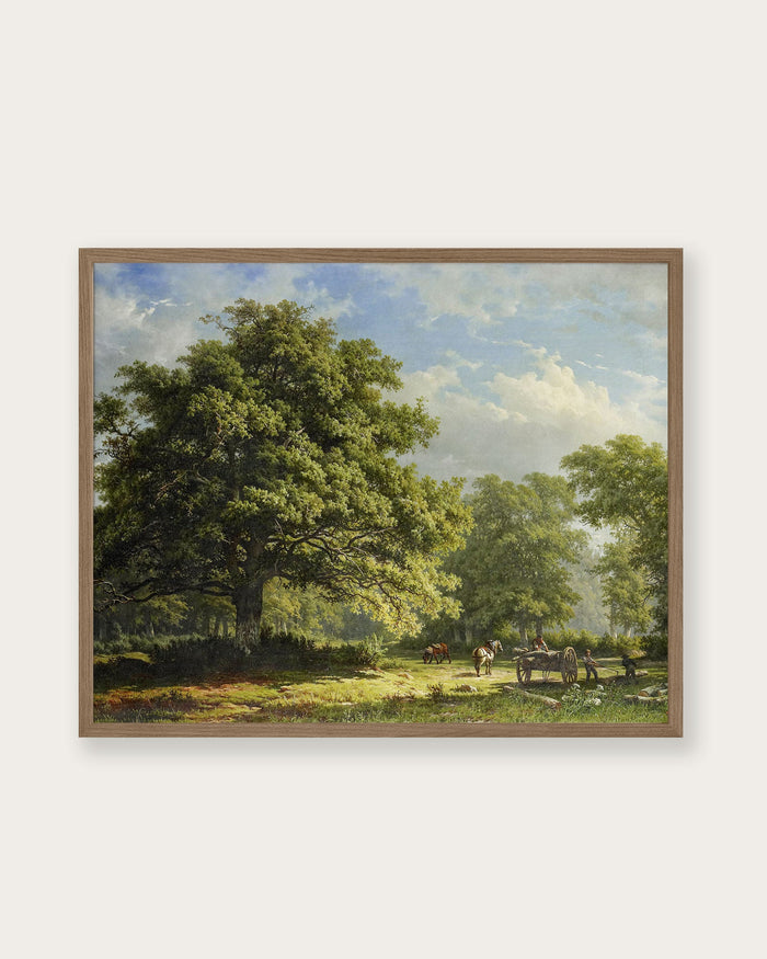 "View in the Bentheim Forest" Art Print - Lone Fox