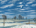 Winter Scene in Moonlight