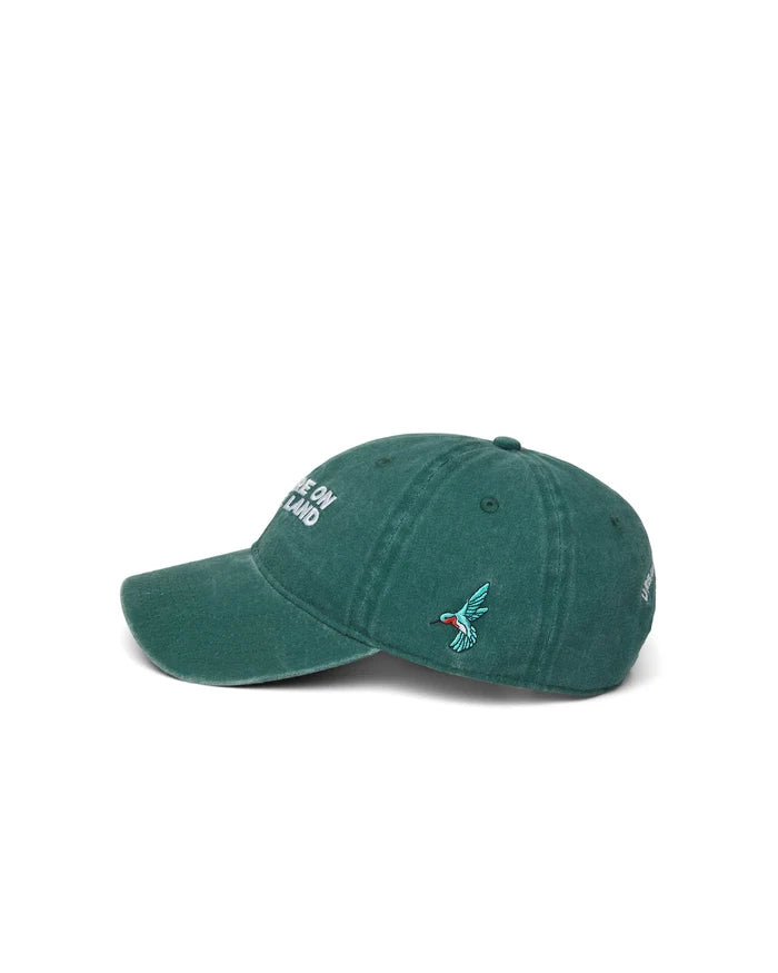 Side view of Green cap with embroidered hummingbird design on a white background