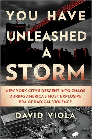 Book title: You Have Unleashed a Storm. The cover uses gritty 1960s–70s imagery: the Brooklyn Bridge and city buildings above, and brownstones with people and parked cars below. The illustration is in grey and red tones, with the title in sepia‑white.