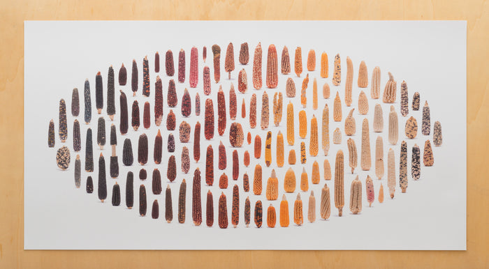 Zea Mays II by Uli Westphal